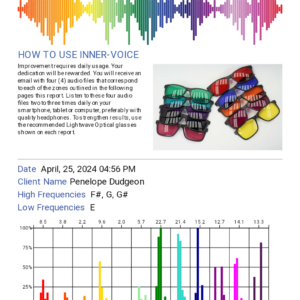 Inner Voice Scan - Zoom Session