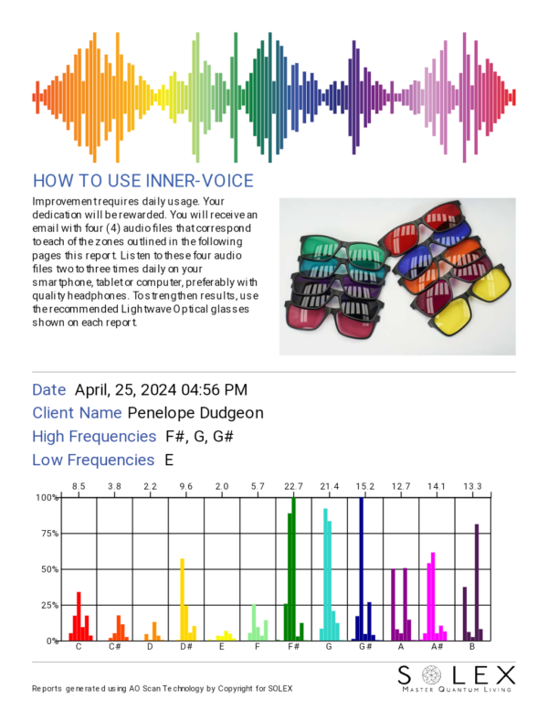 Inner Voice Scan - Zoom Session
