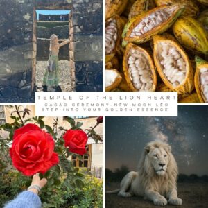Shamanic Cacao Ceremony - Sunday 27th July 2025