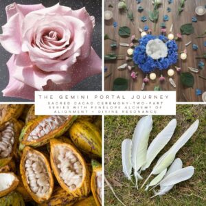 Shamanic Cacao Ceremony Series with Penelope - The Gemini Portal Journey